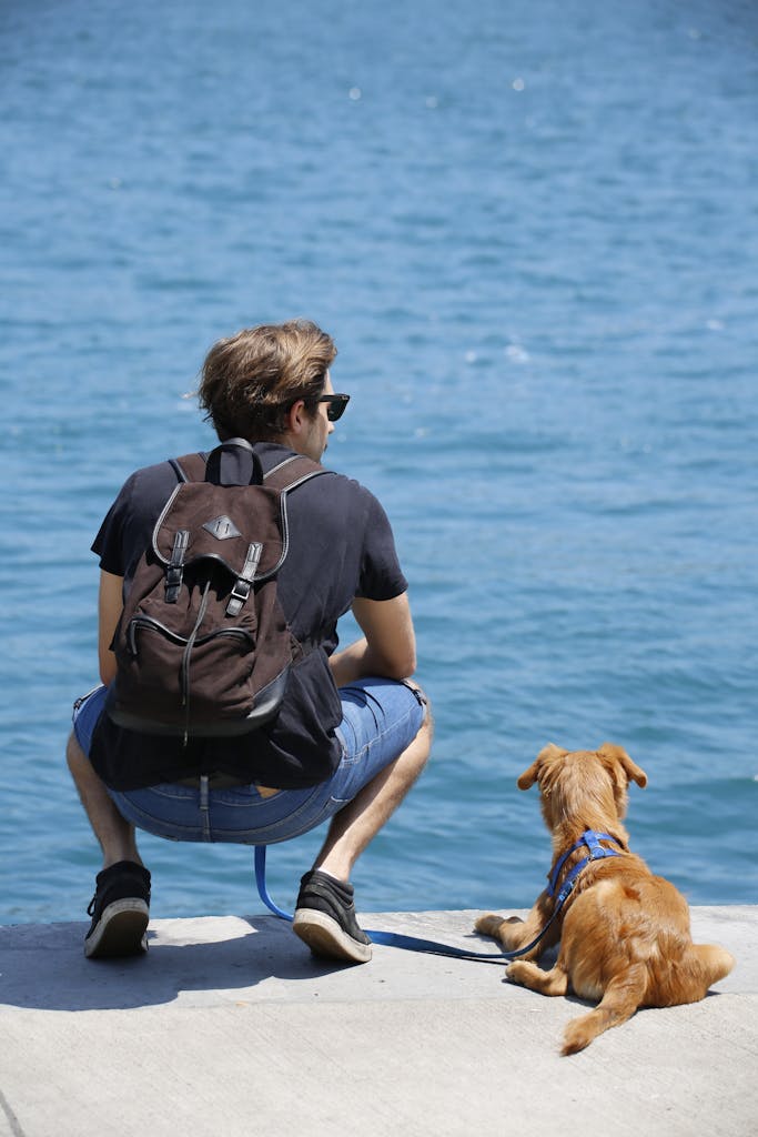 A man and a dog sitting by the water, enjoying a serene lakeside view on a sunny day.