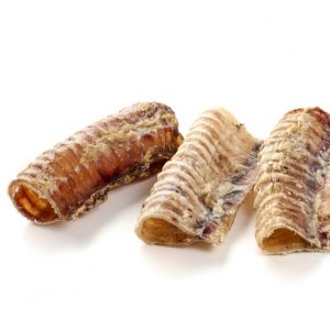 Rinder Luftröhre kurz