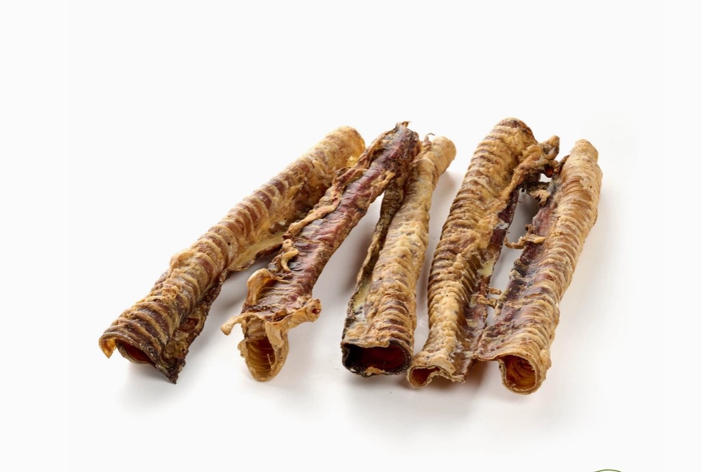 Rinder Luftröhre lang