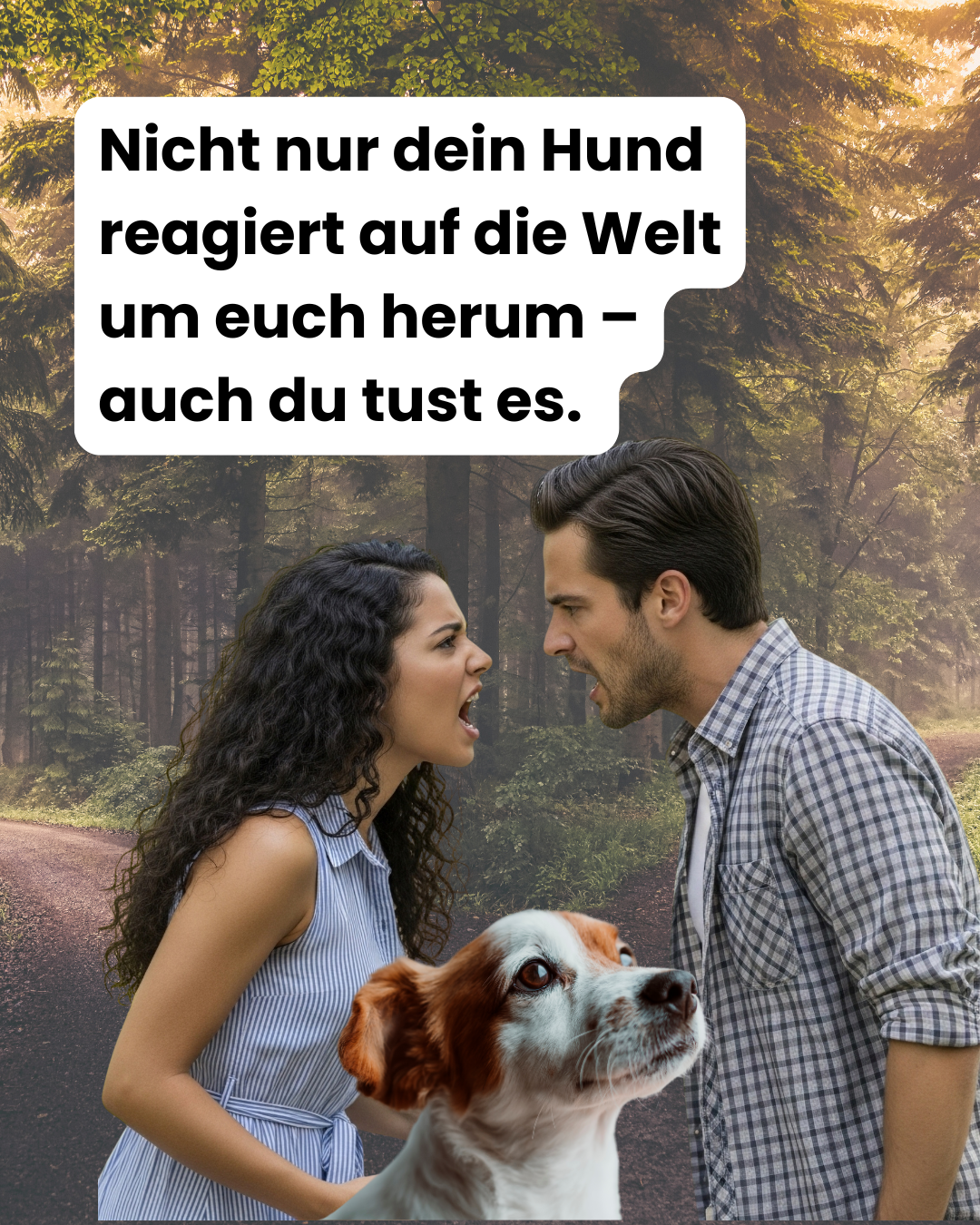 Wenn die anderen mit reinspielen – und warum Kommunikation im Hundealltag oft übersehen wird