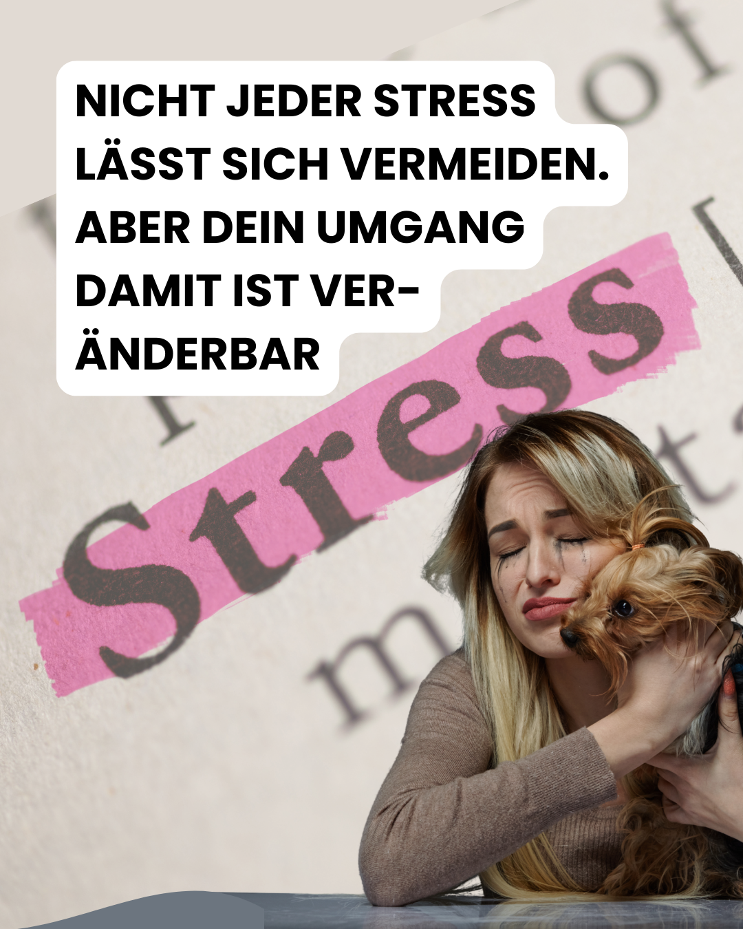 Wenn dein Hund auf deine Anspannung reagiert