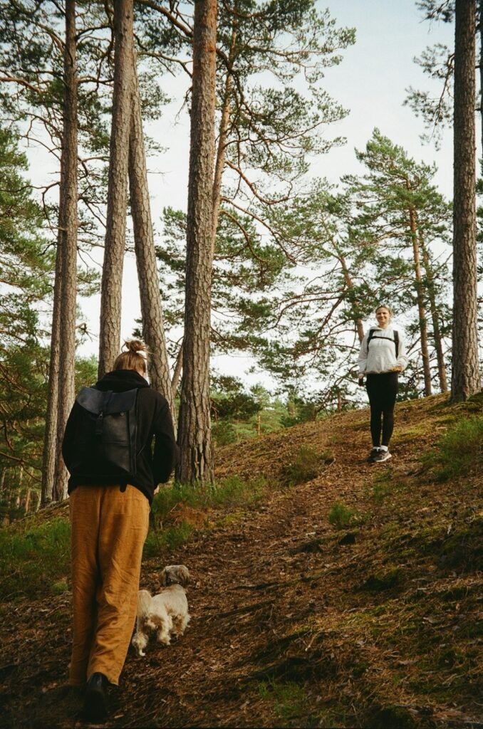 Social Walk